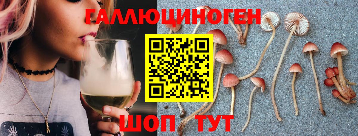 Галлюциногенные грибы Psilocybine cubensis  Вход с VPN  Вичуга 