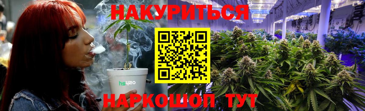 Шишки марихуана планчик Вичуга